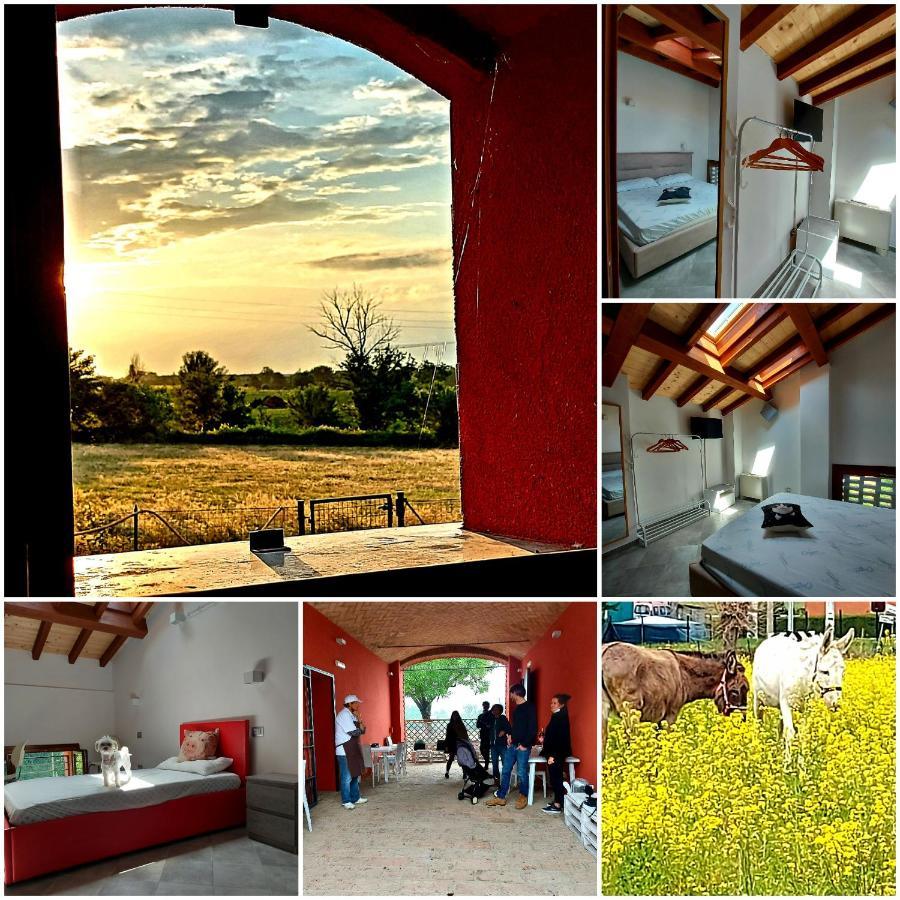 Agriturismo Fattoria Ferrari Maria Rita Pozza Exteriör bild